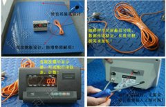 5吨鲸鱼传媒APP免费版，鲸鱼传媒APP免费版批发