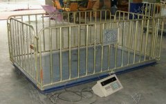 不锈钢牲畜秤，3t牲畜秤报价